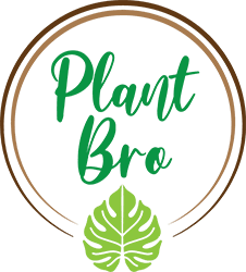 A green leaf with the words " plant bro ".