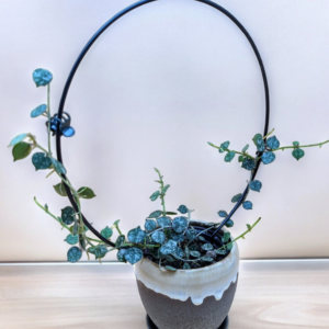 A plant in a pot with blue flowers.